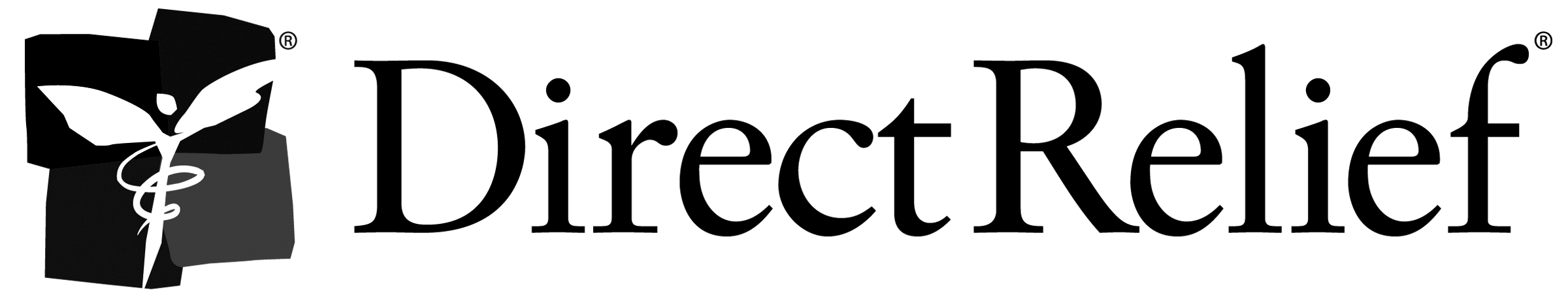DR_Logo_notag_CMYK_2400x452